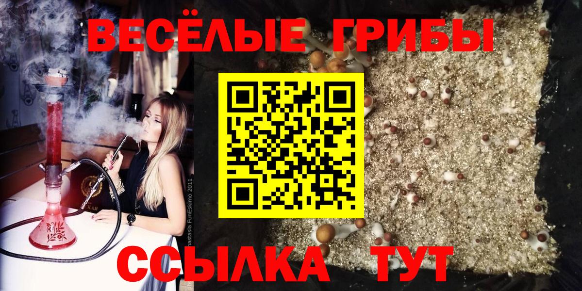 Псилоцибиновые грибы Psilocybine cubensis Донской